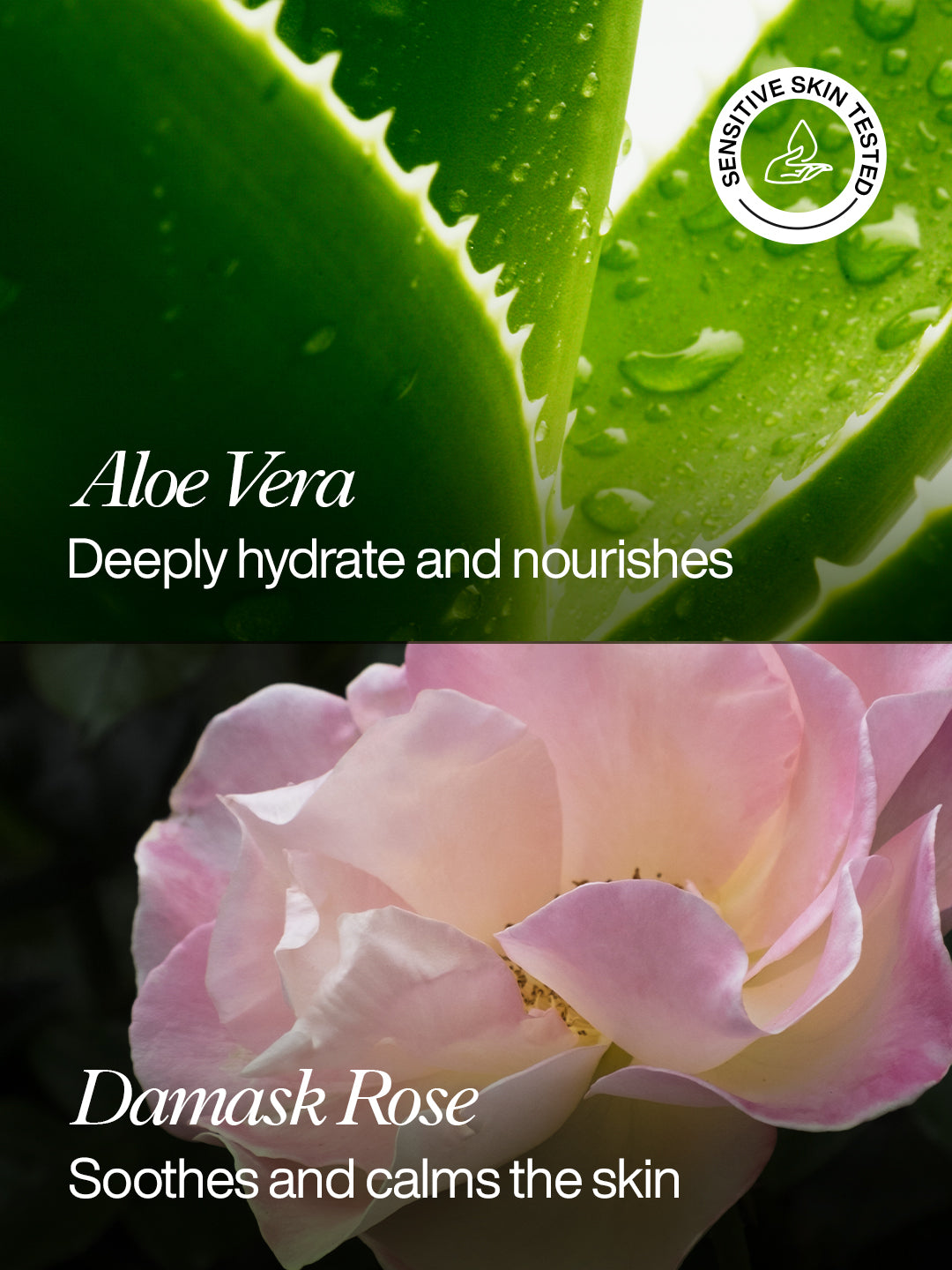Revitalising Cream Cleanser – With Lemongrass, Geranium Oil & Cacao Butter