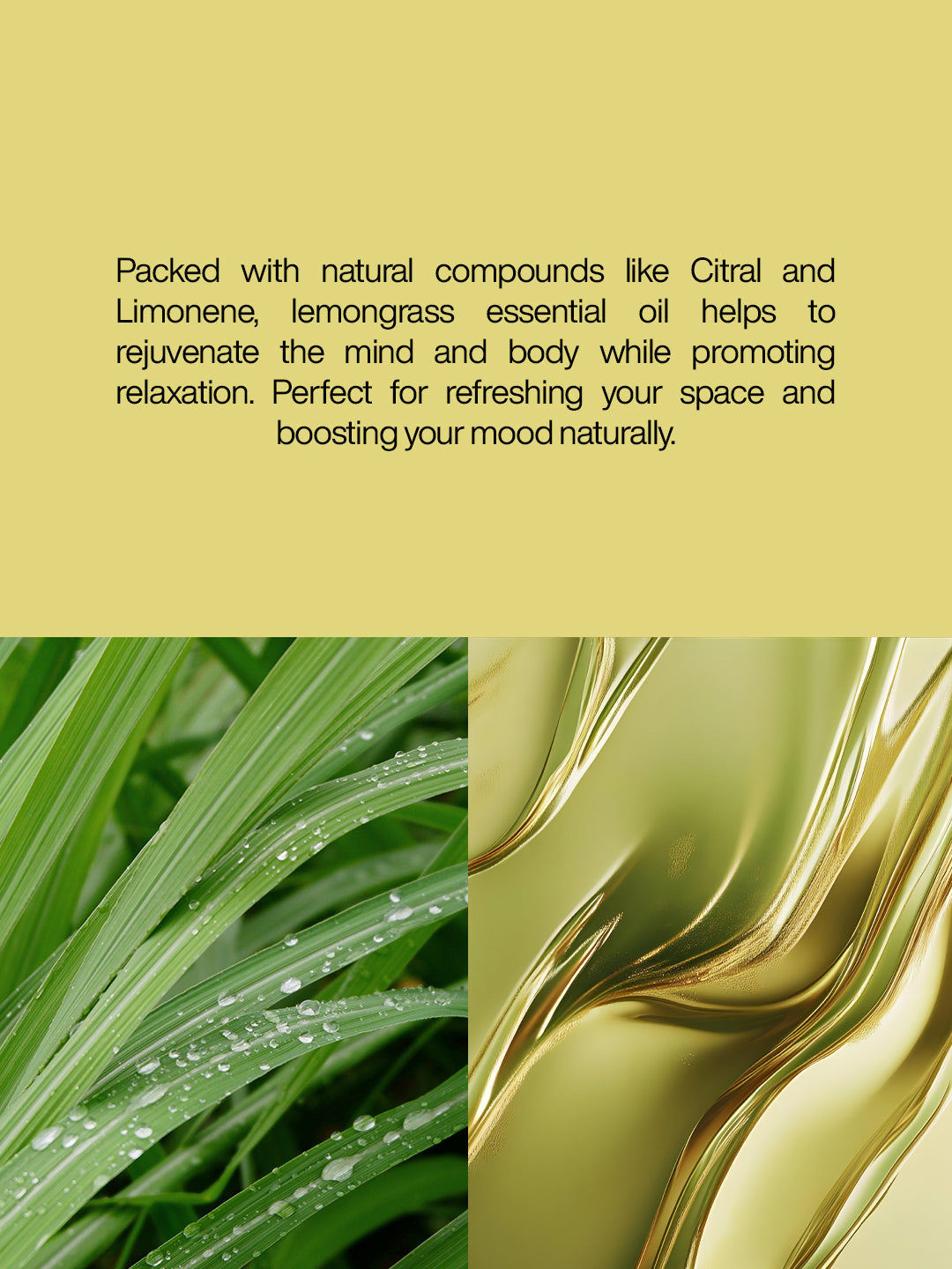 Lemongrass Oil - 1000ml