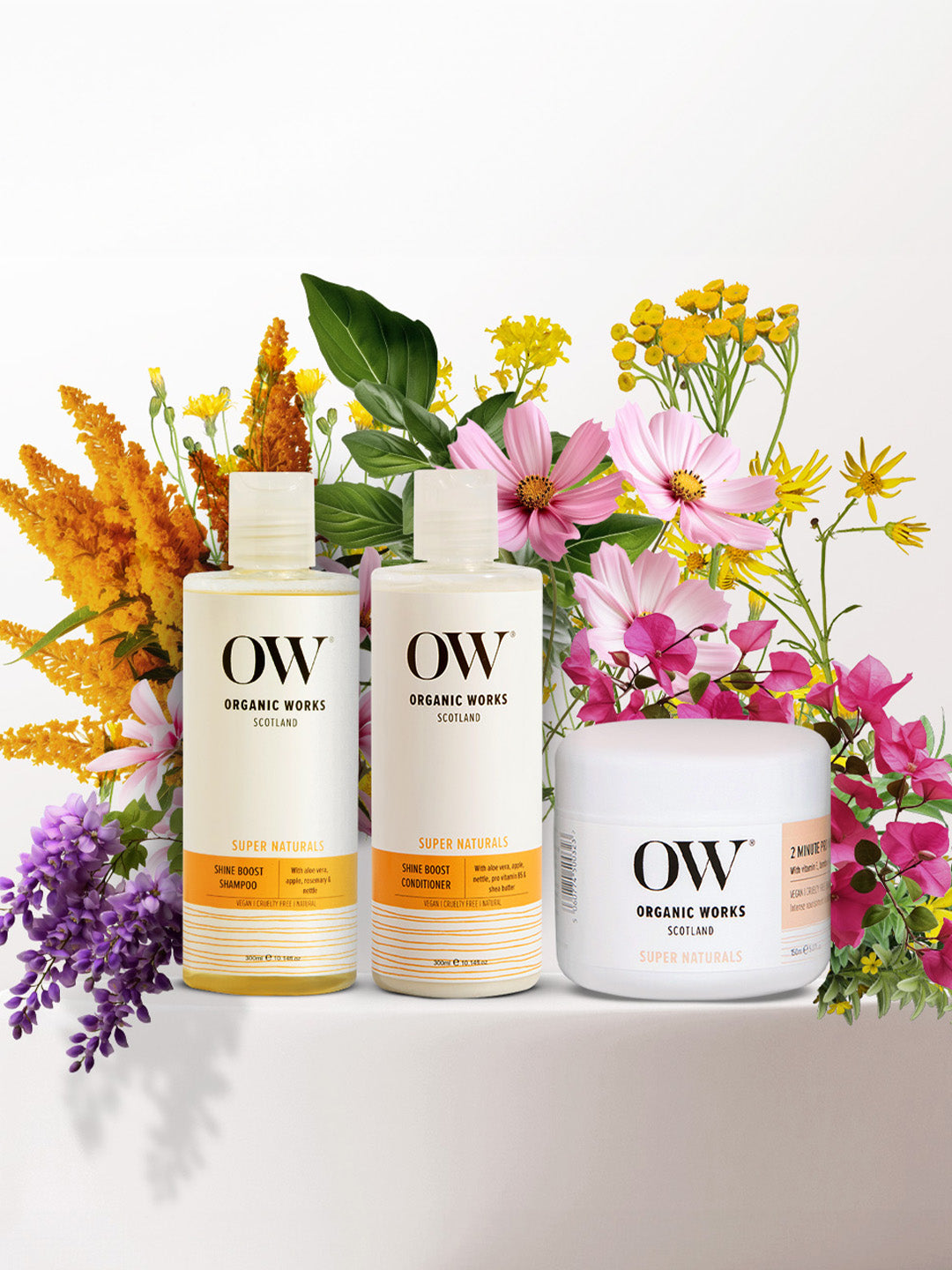 Hair Hydration Trio