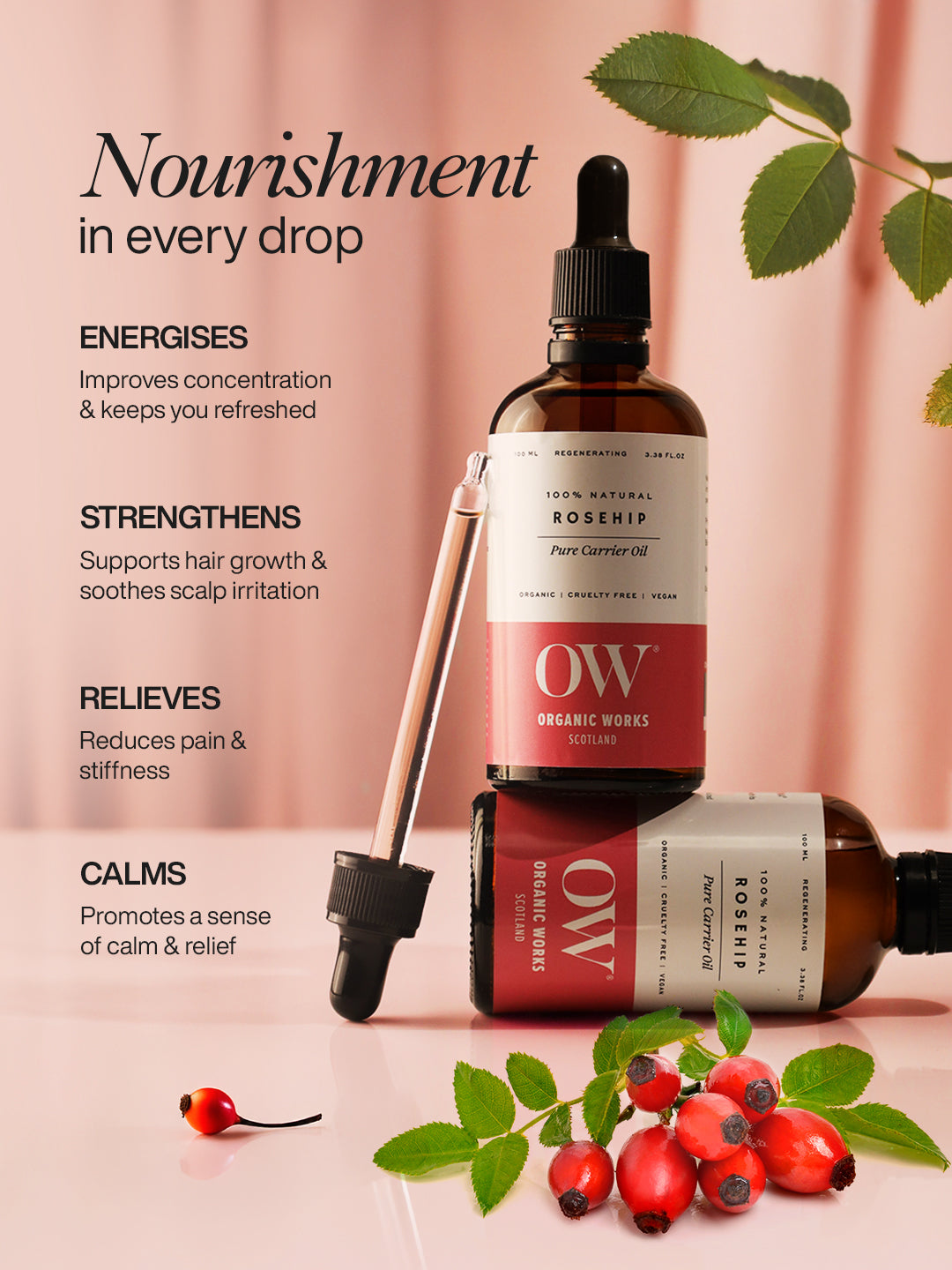 Rosehip Oil