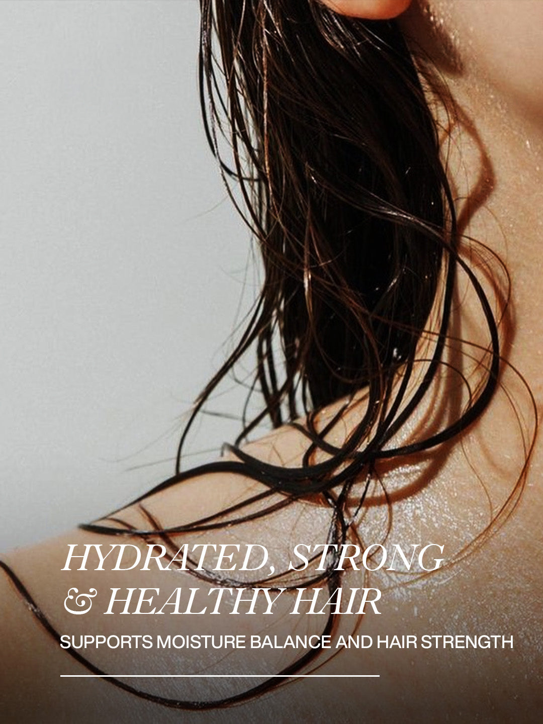 Moisture Boost Shampoo & Conditioner Duo