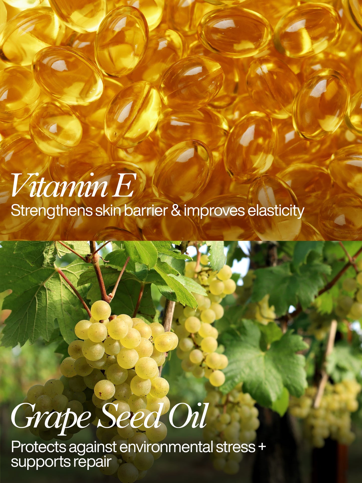 Renewal Night Cream with Vitamin E, Lavender & Grape Seed Oil – 50ml