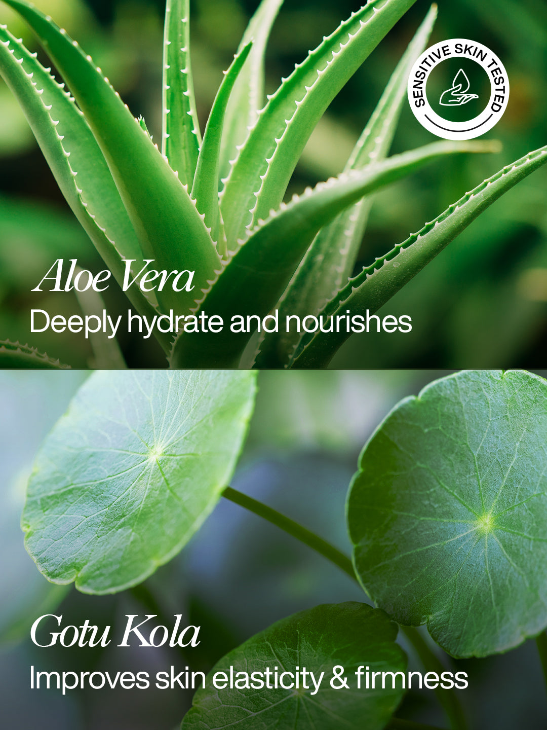 Refining Flower Tonic