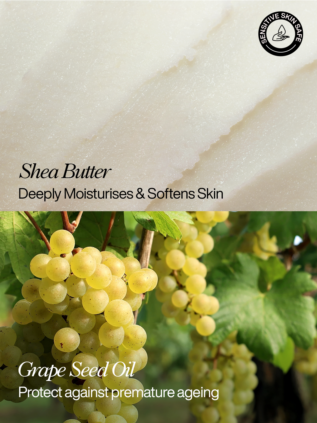 Grape Seed & Shea Butter Deep Care 24hr Moisturiser Starter Pack