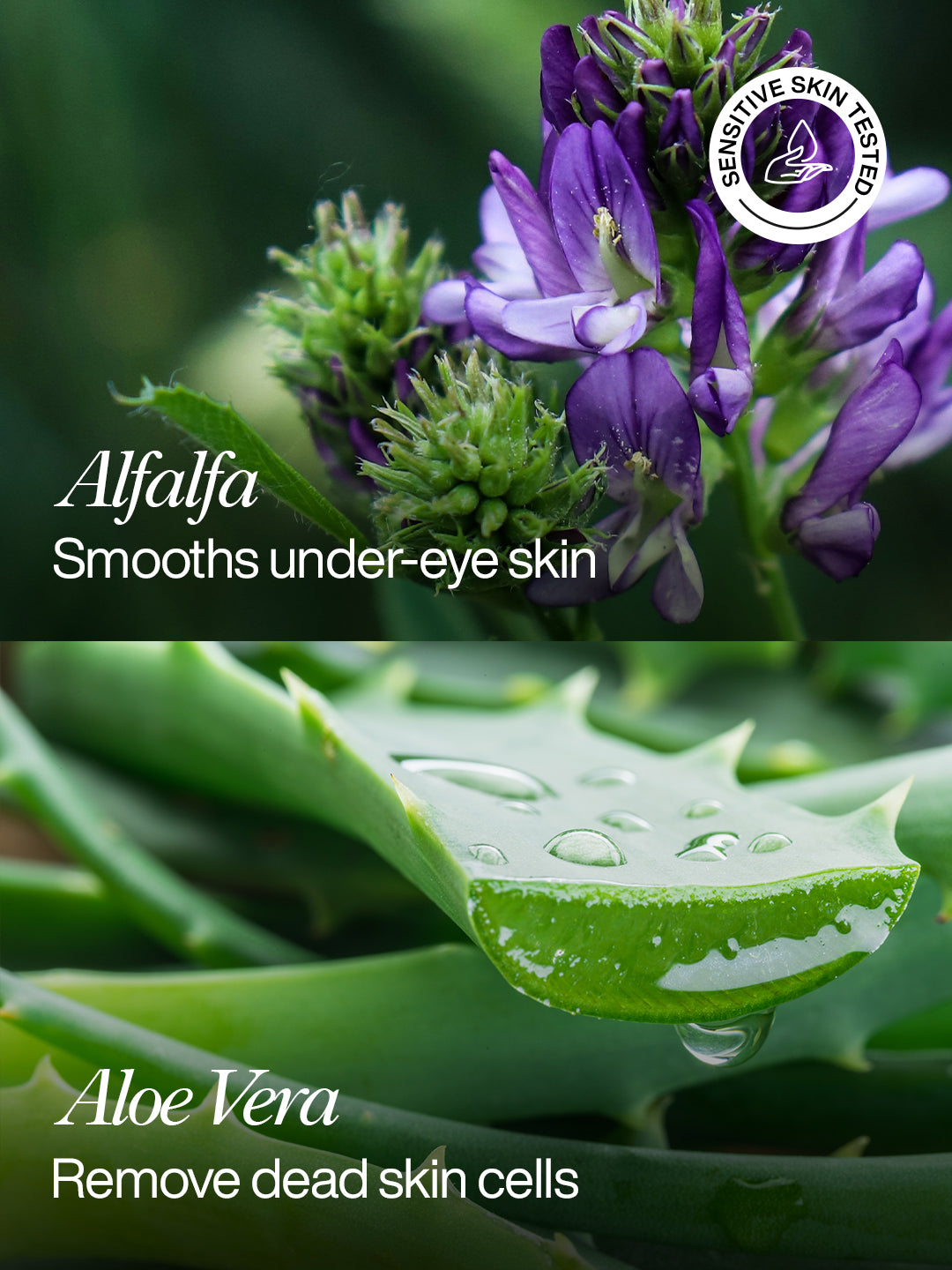 Gentle Hydrating Eye Cream