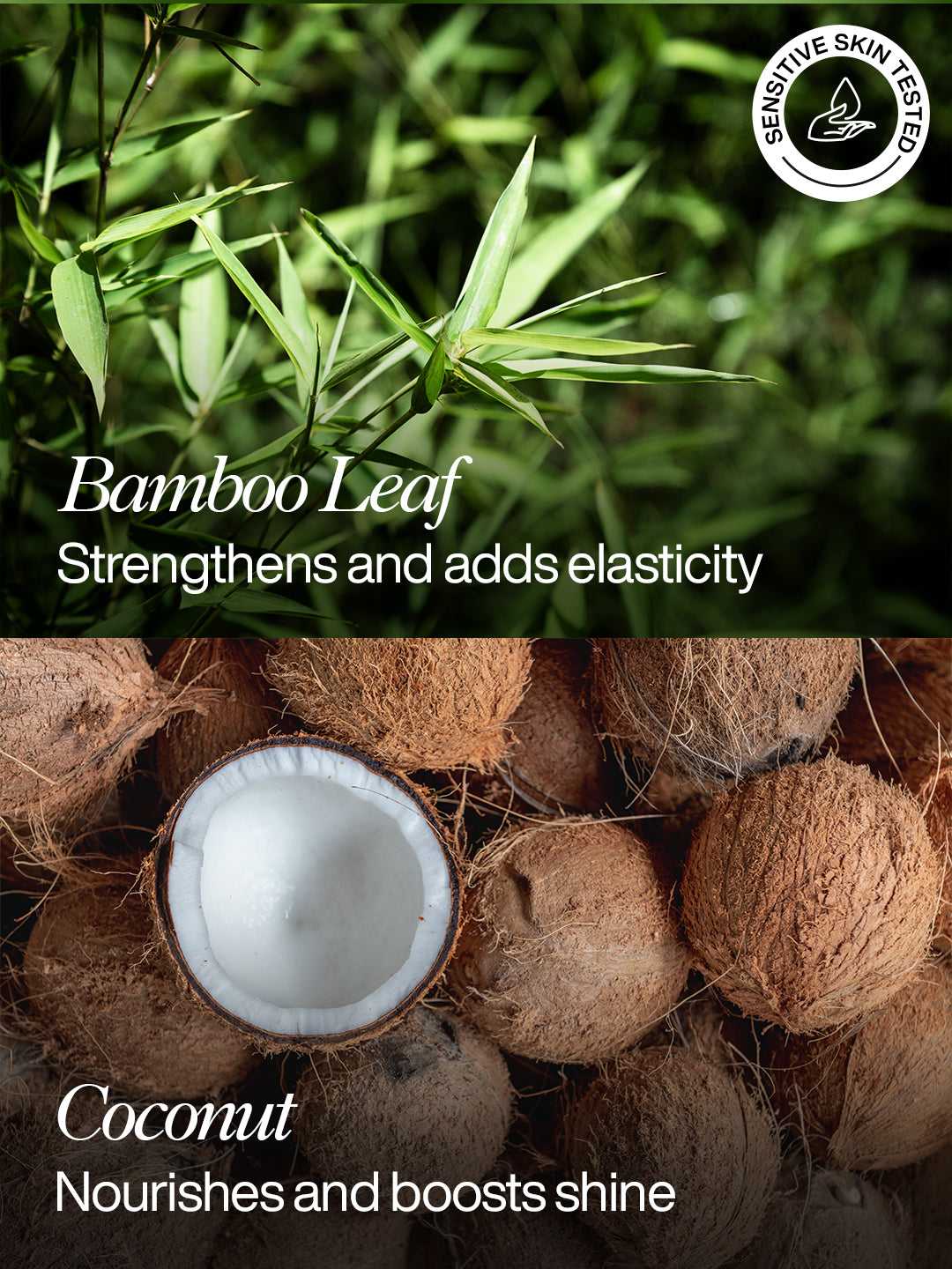 Moisture Boost Shampoo