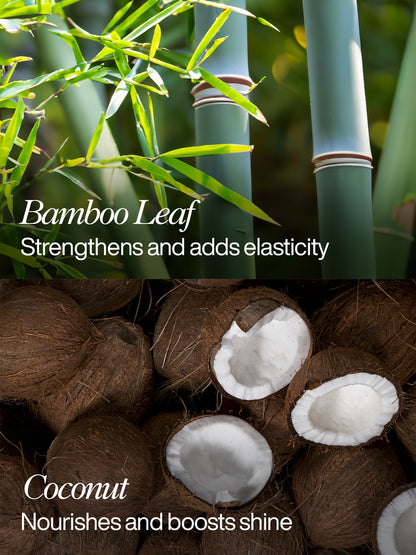 Moisture Boost Conditioner