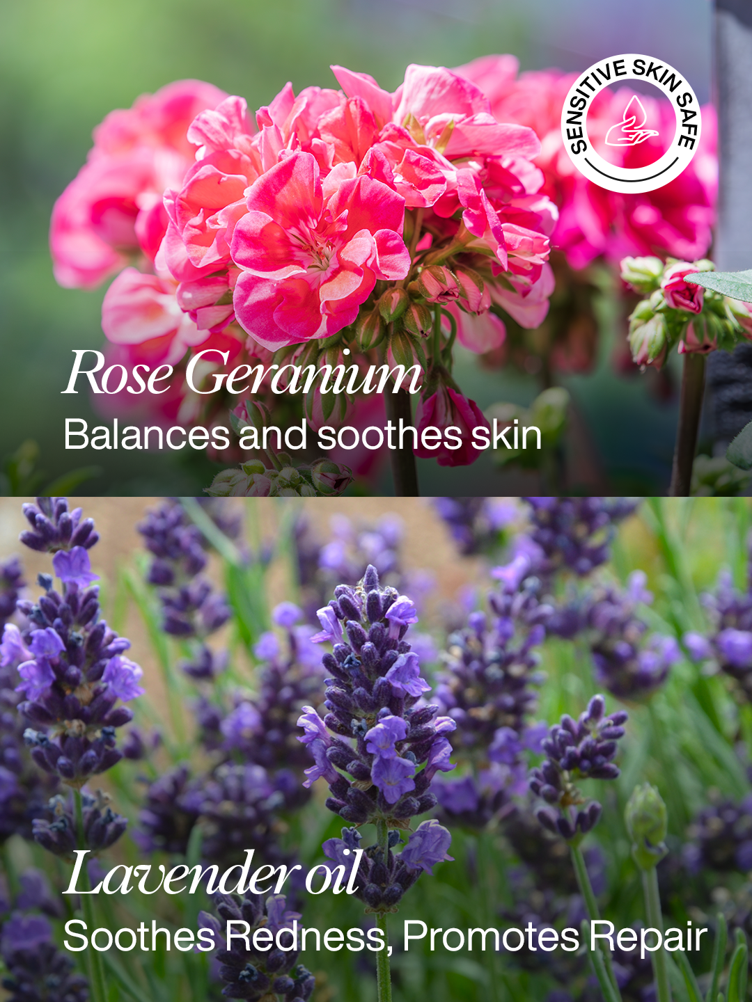 Lavender Shower Gel - 200ml