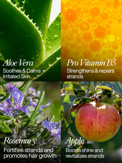 Hair Repair & Strength Duo