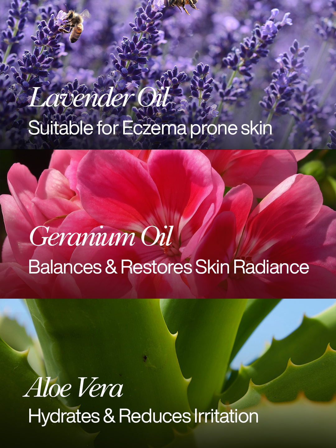 Lavender Spa Set