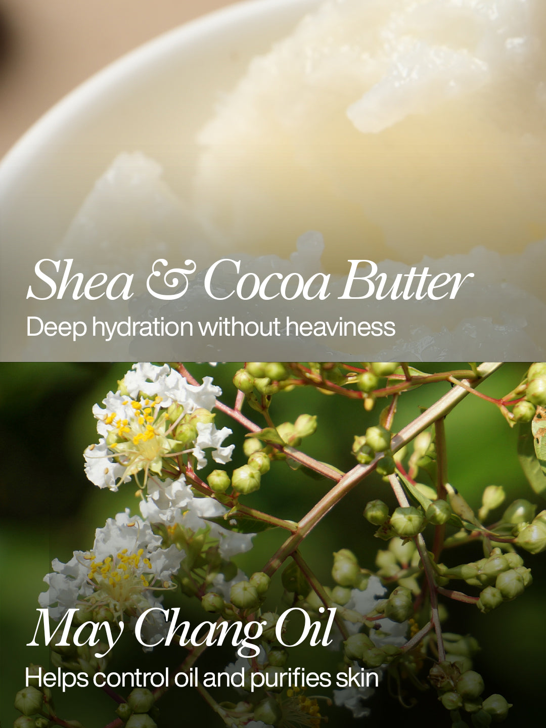 Daily Bliss Salicylic Acid + Grape Seed Skin Balancing Moisturiser – 50ml