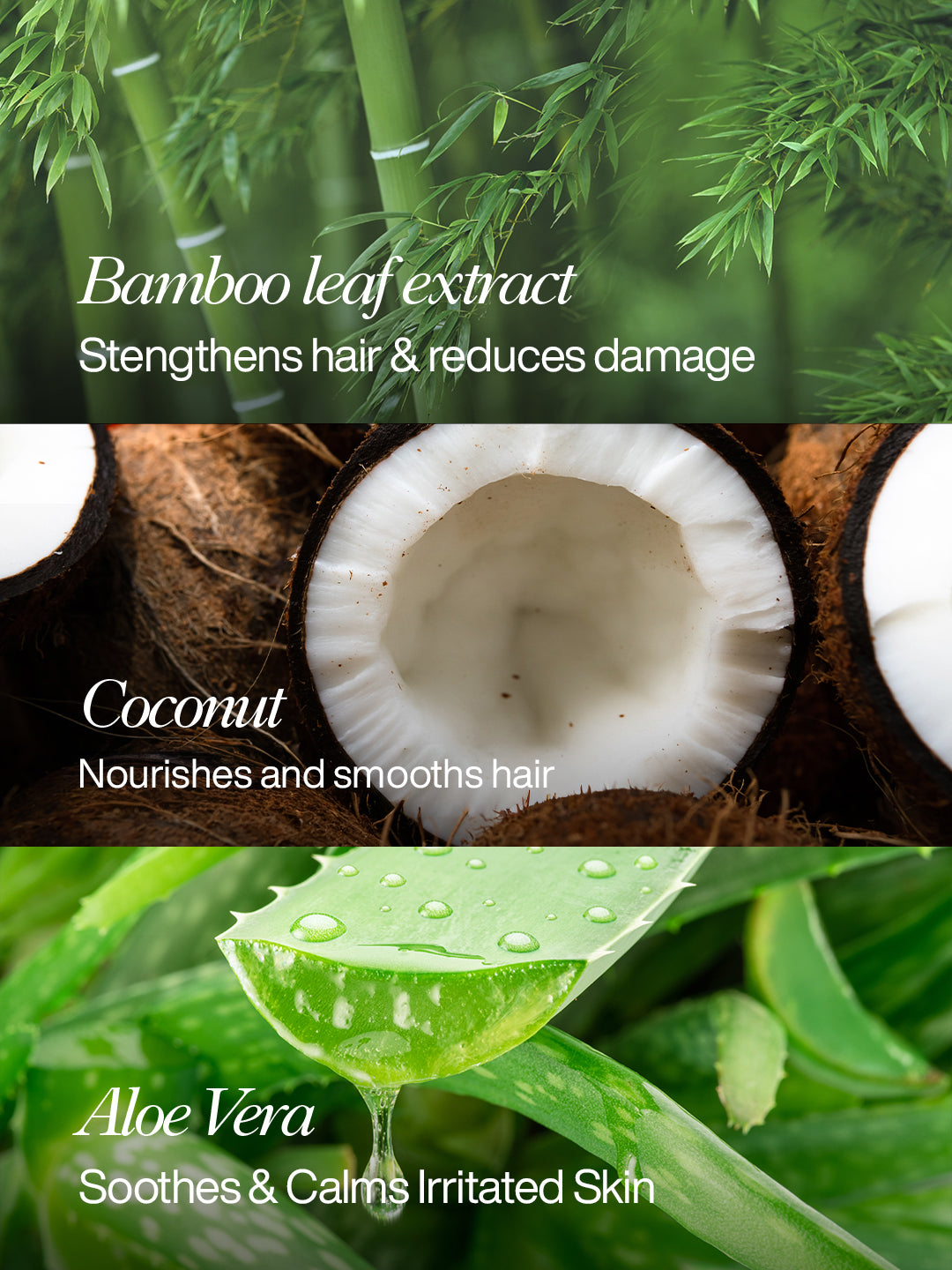 Moisture Boost Shampoo & Conditioner Duo