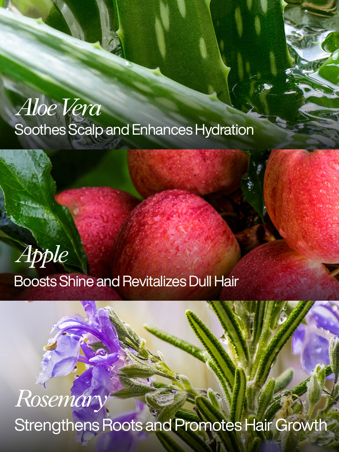 Hair Hydration Trio