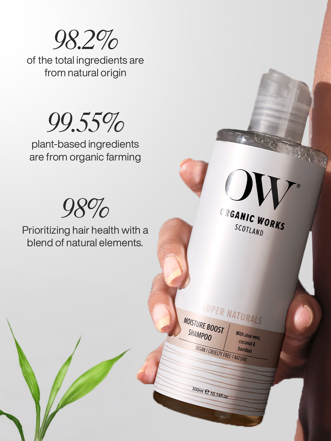Moisture Boost Shampoo