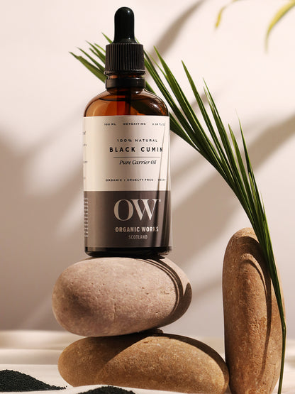 Black Cumin Seed Carrier Oil