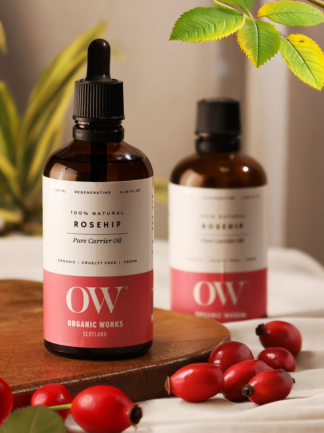 Rosehip Oil