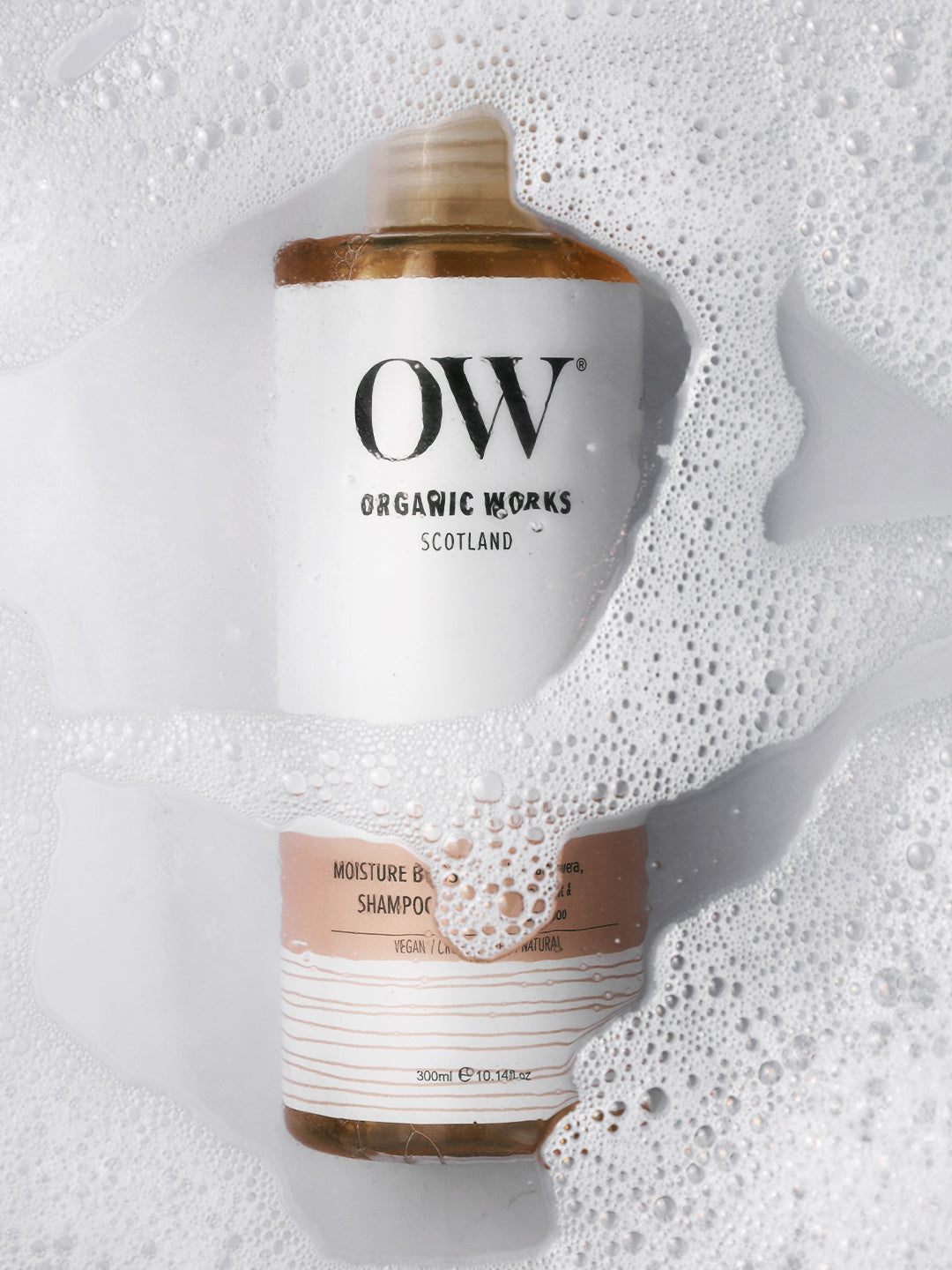 Moisture Boost Shampoo