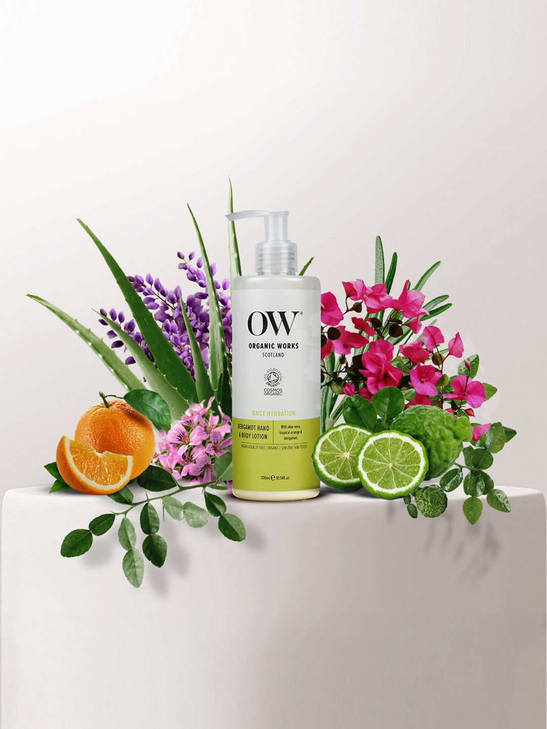 Bergamot Hand & Body Lotion