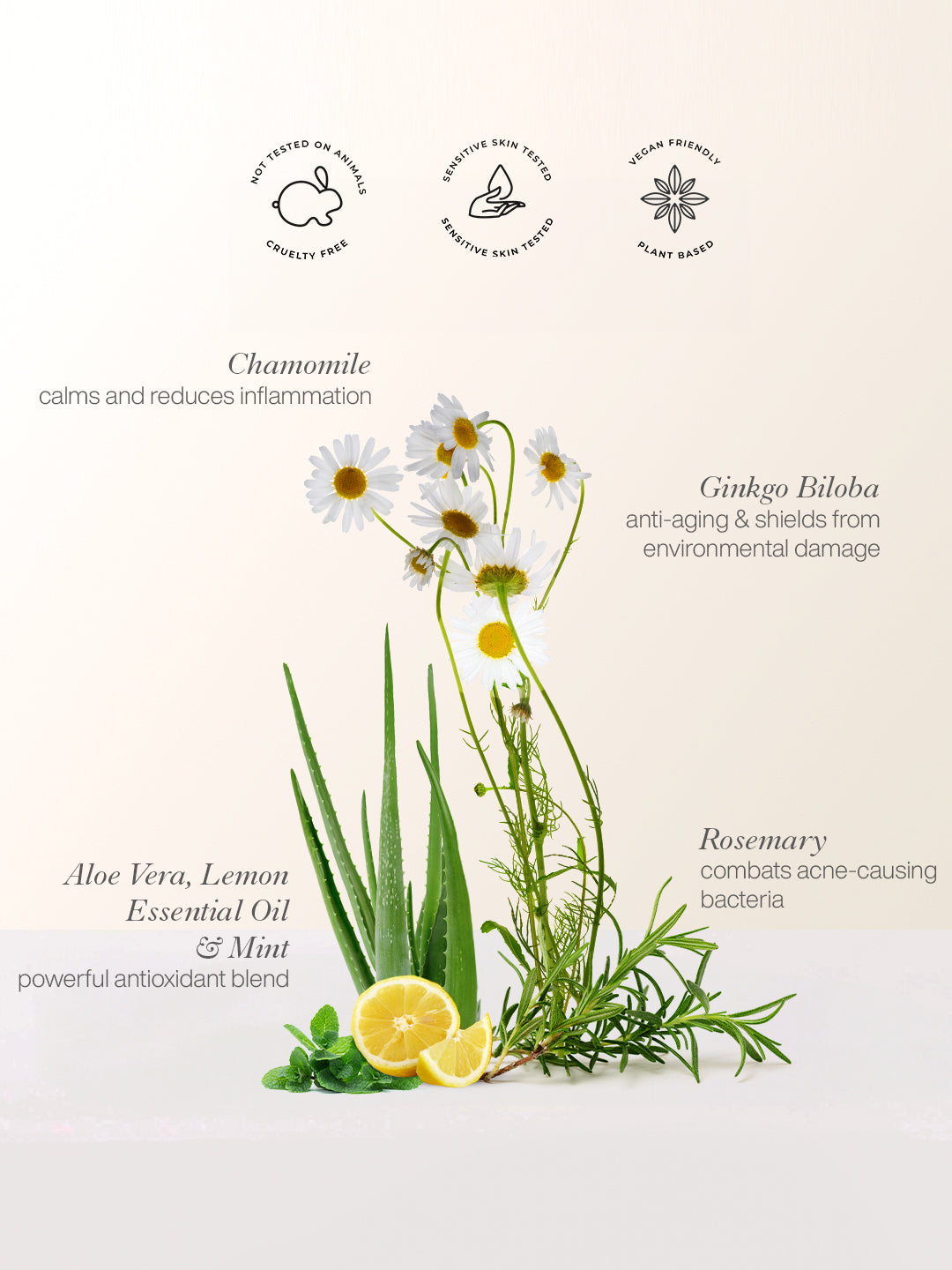 Deep Nourish Face Mask