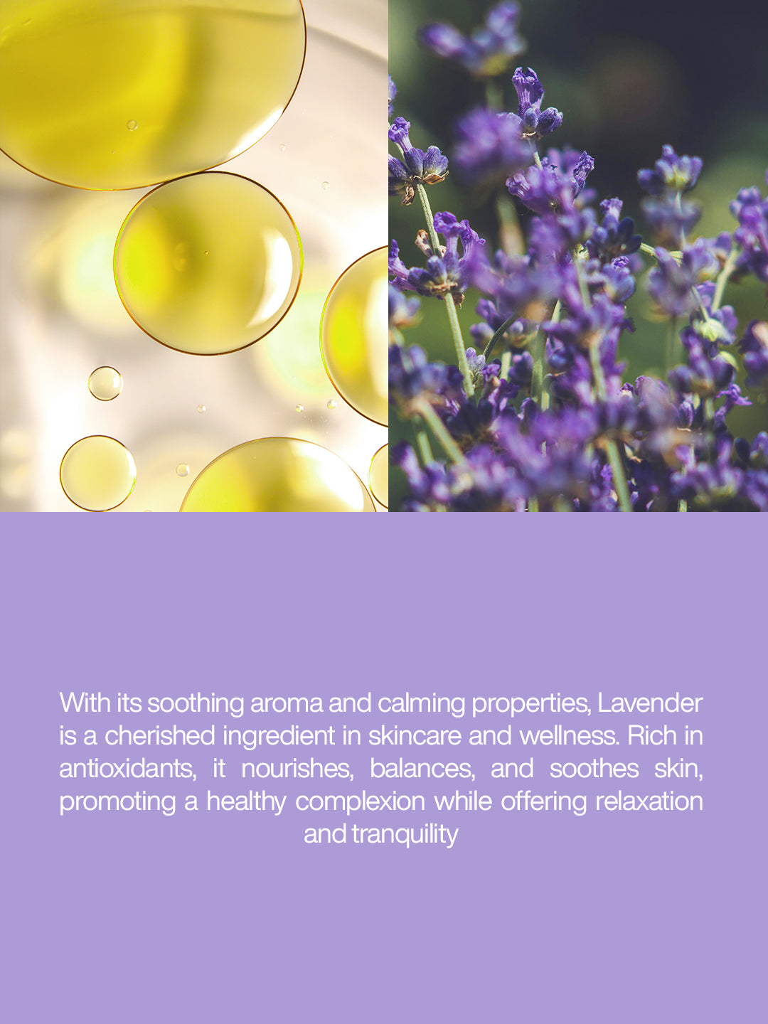 Lavender Oil