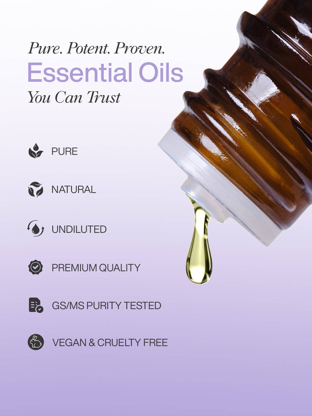 Lavender Oil