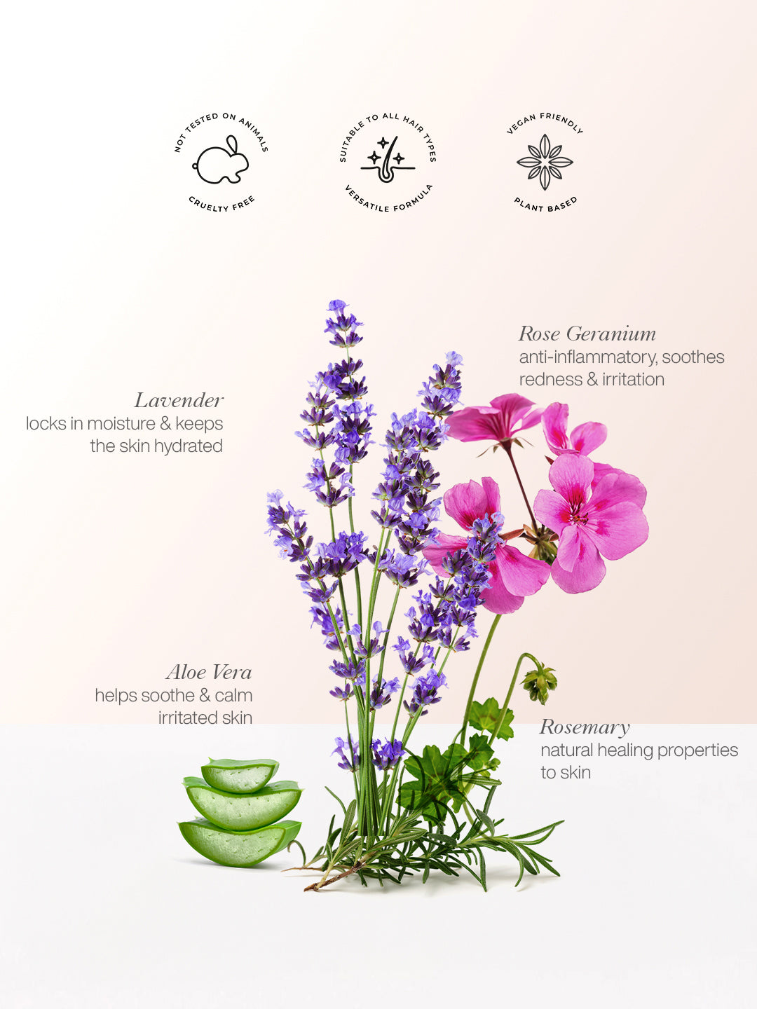 Lavender Hand Wash