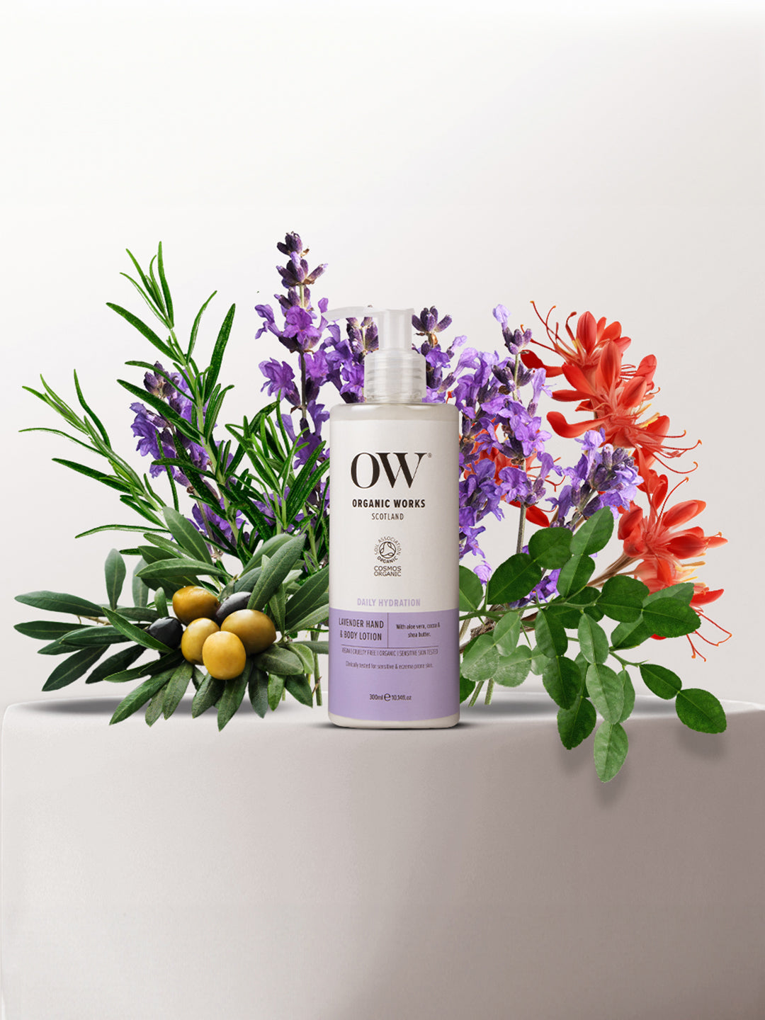 Lavender Hand & Body Lotion