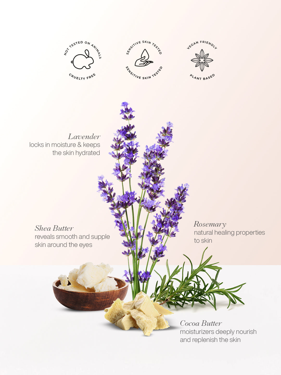 Lavender Hand & Body Lotion