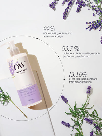 Lavender Hand & Body Lotion