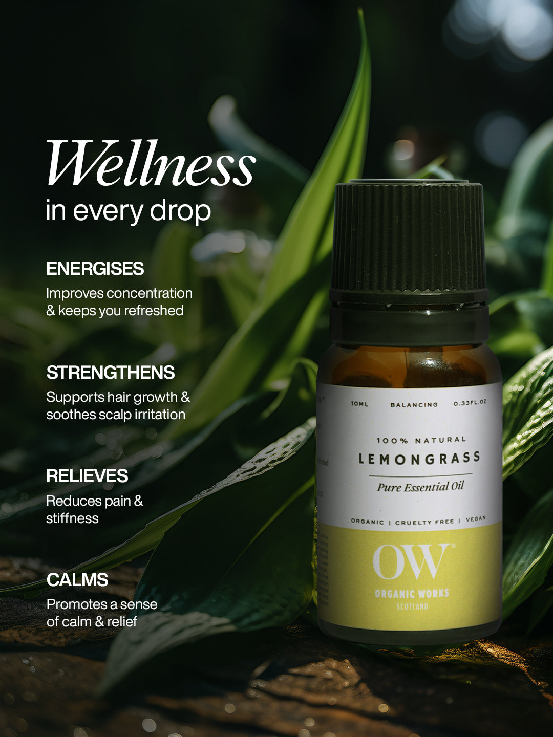 Lemongrass Oil