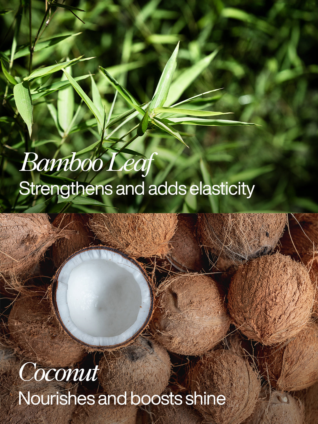 Moisture Boost Shampoo