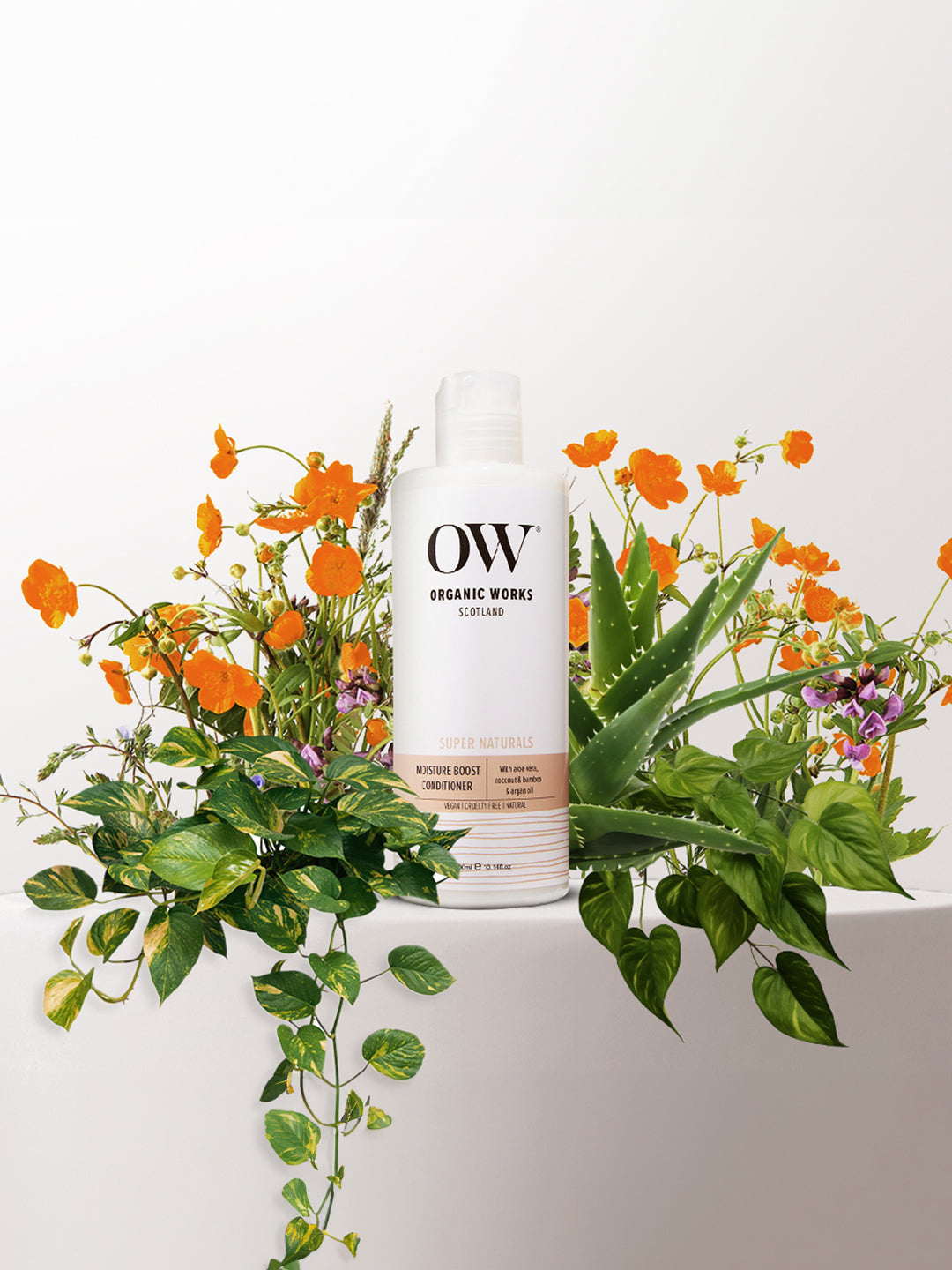 Moisture Boost Conditioner
