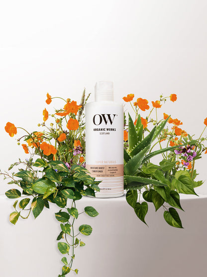 Moisture Boost Conditioner