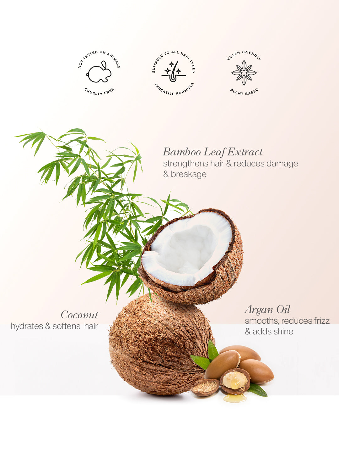 Moisture Boost Conditioner