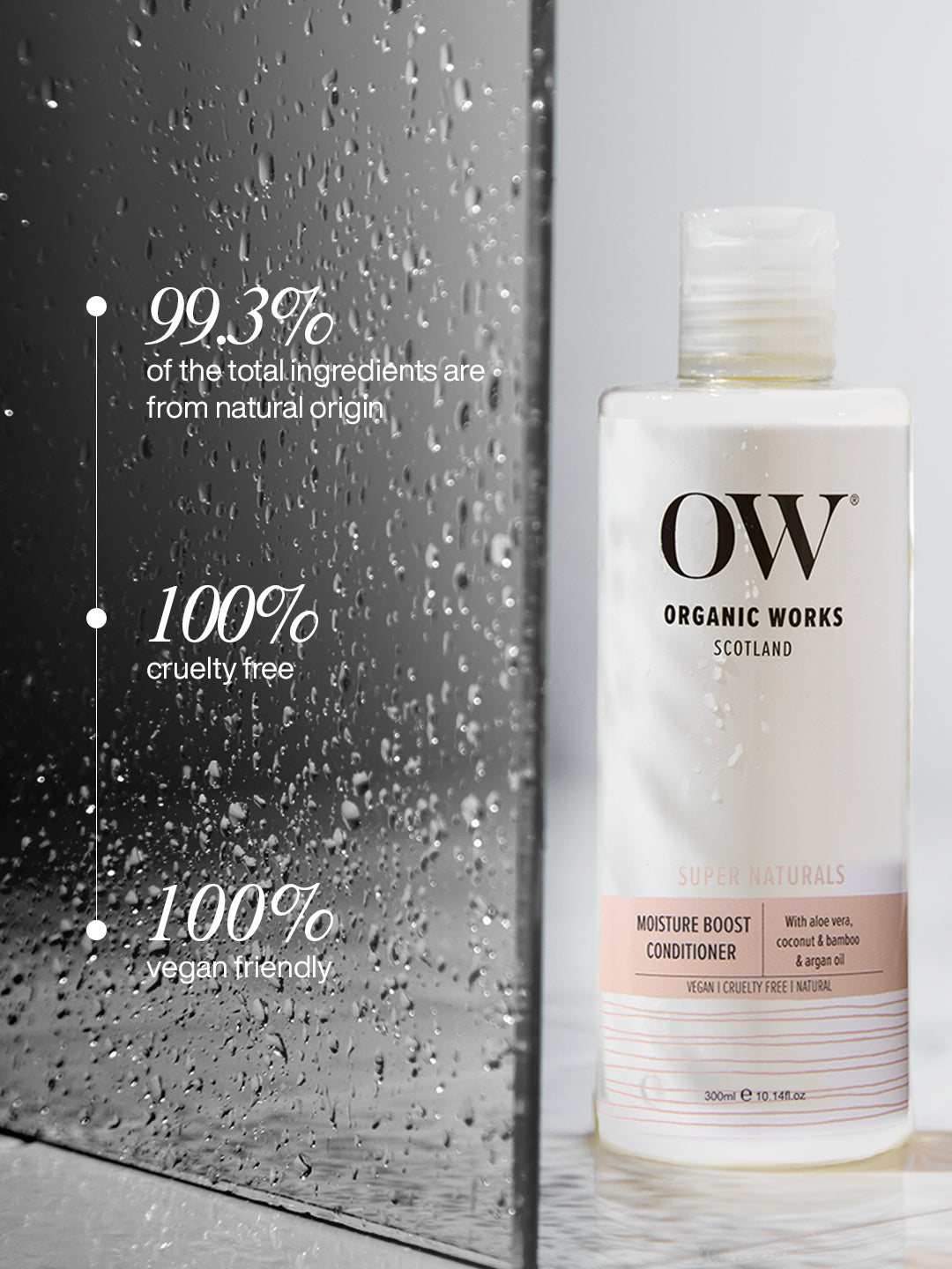 Moisture Boost Conditioner