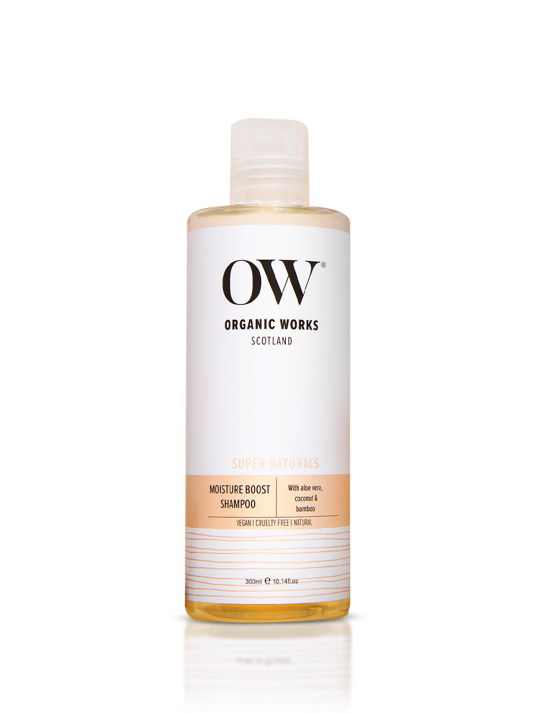 Moisture Boost Shampoo