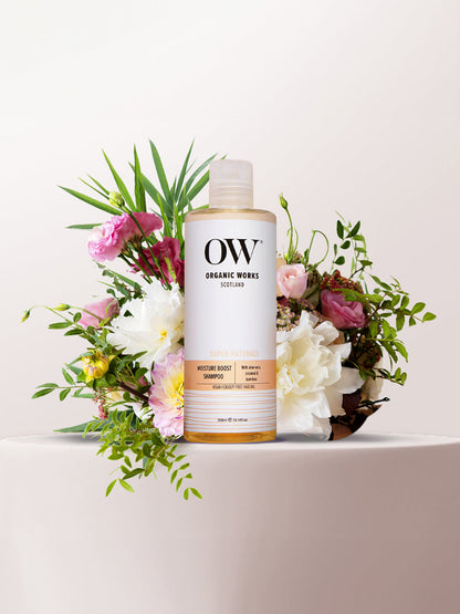 Moisture Boost Shampoo