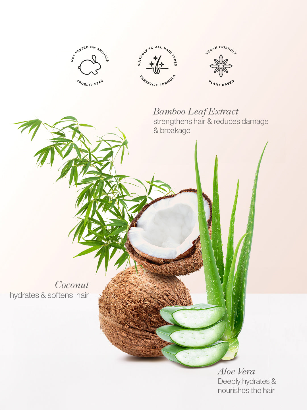 Moisture Boost Shampoo