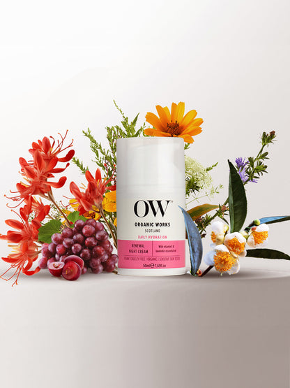 Renewal Night Cream