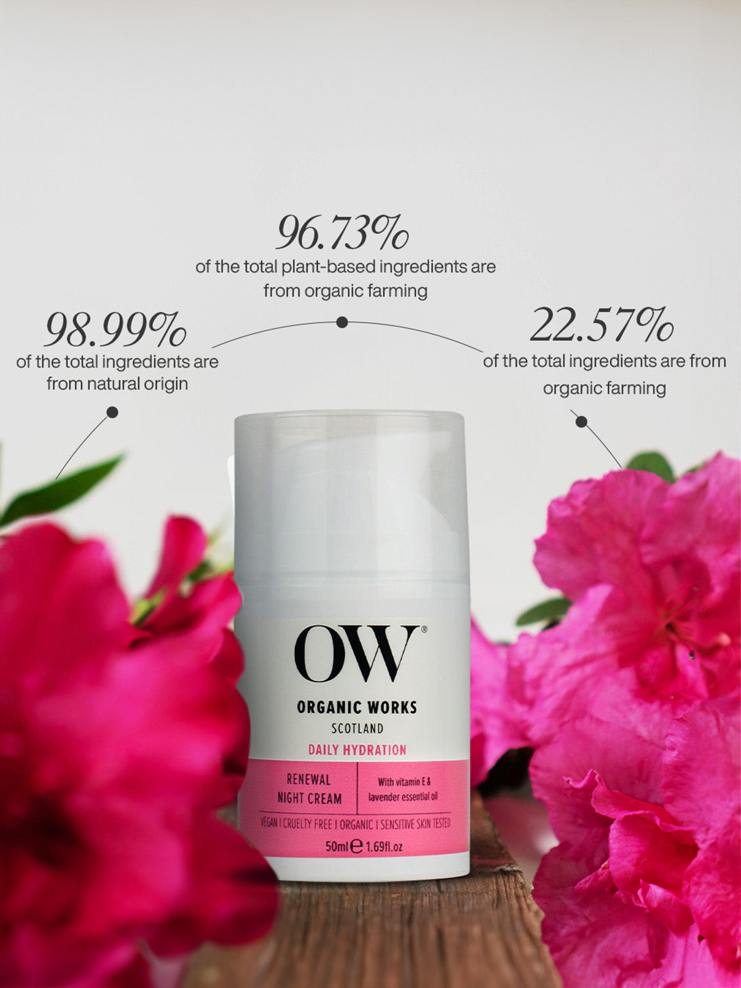 Renewal Night Cream