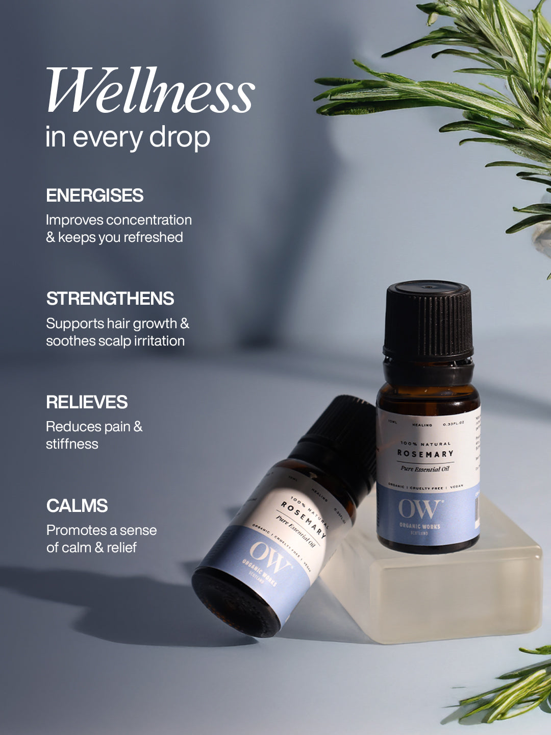 Rosemary Oil