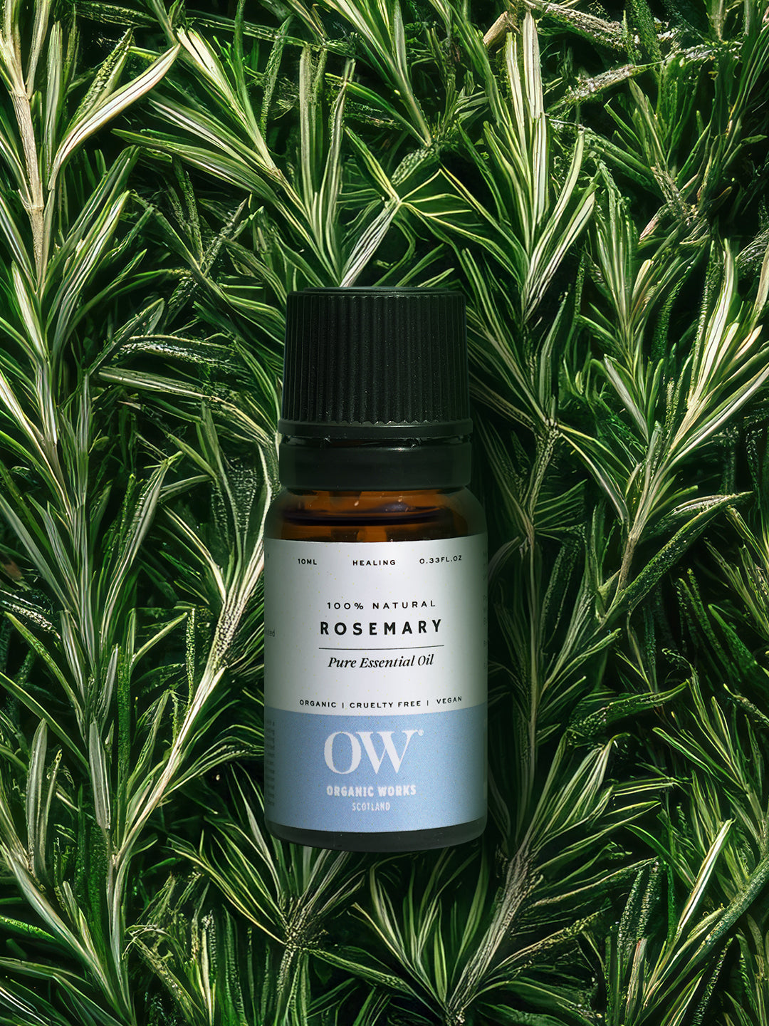 Rosemary Oil