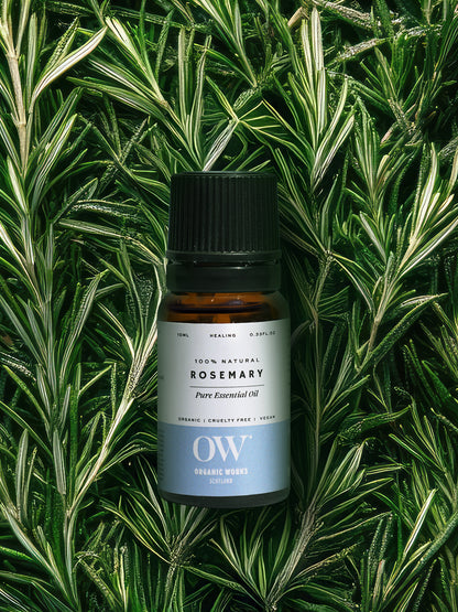 Rosemary Oil