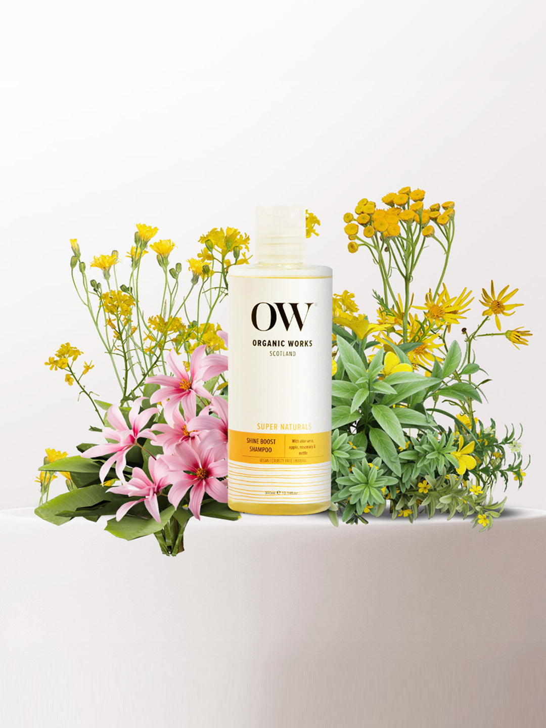 Shine Boost Shampoo