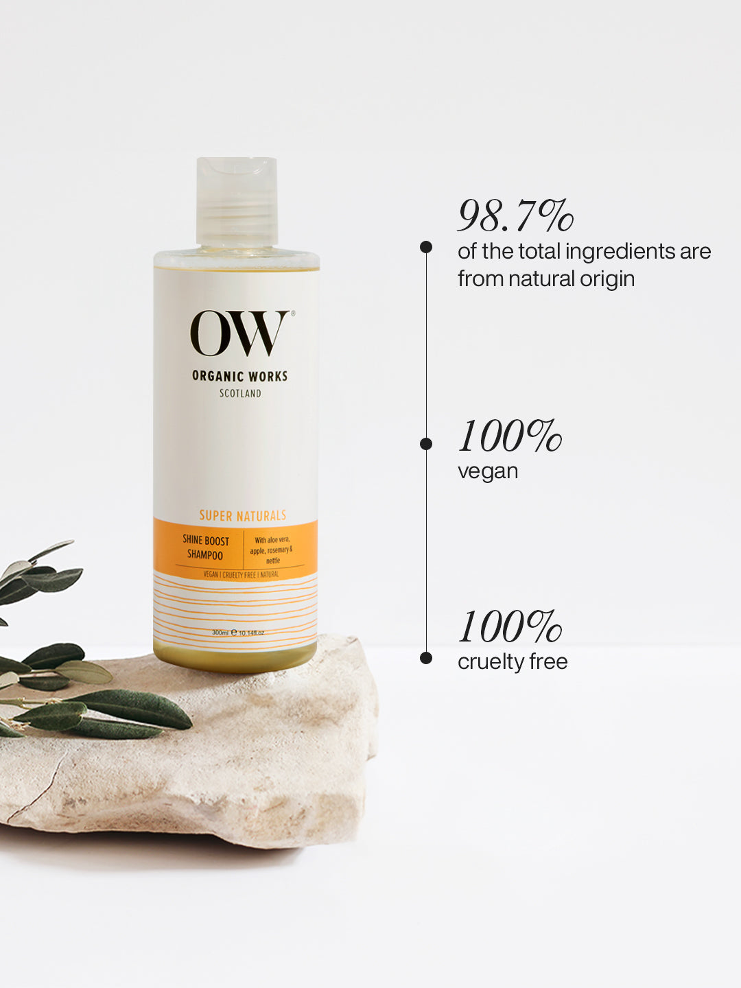 Shine Boost Shampoo