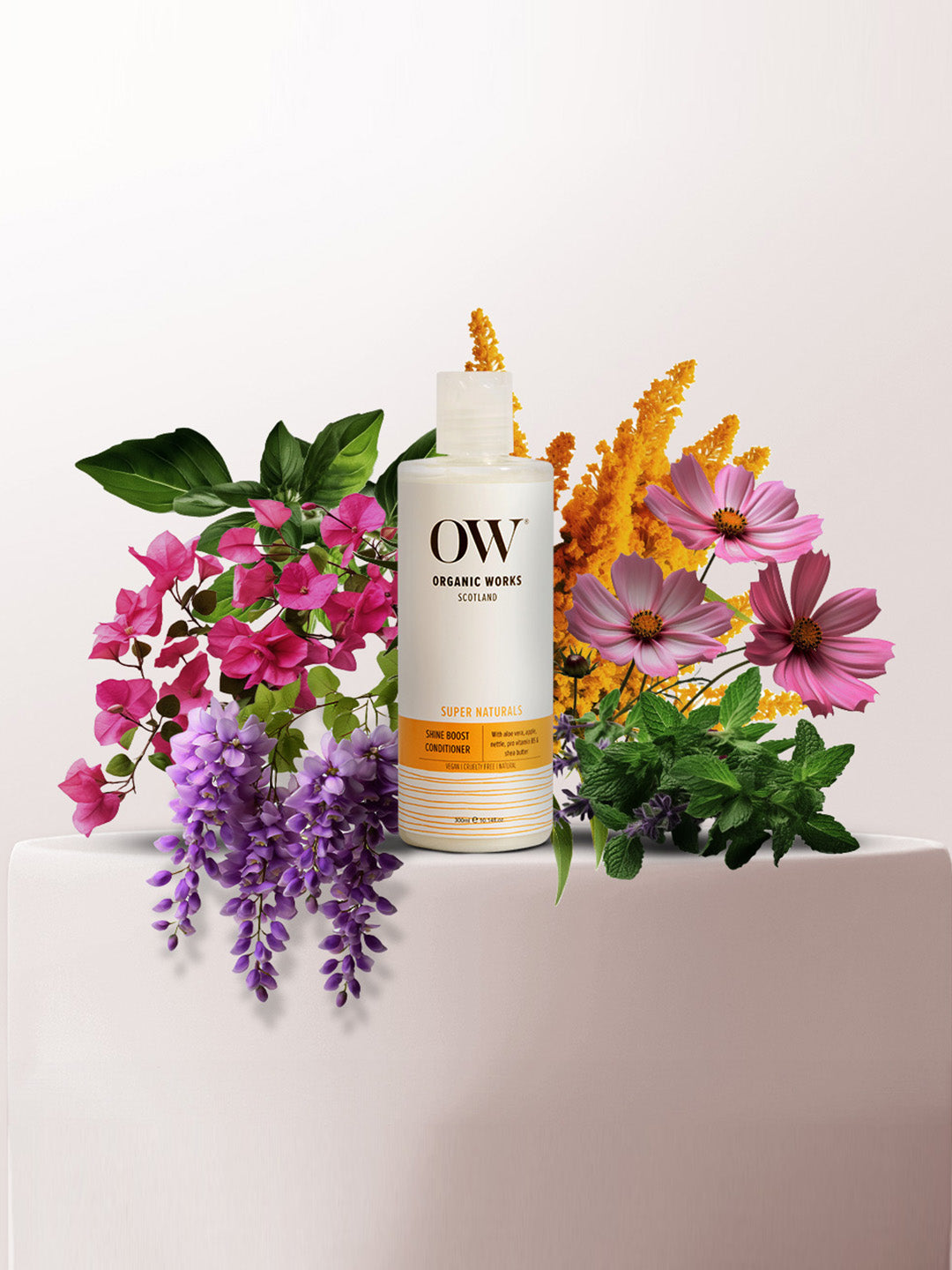 Shine Boost Conditioner