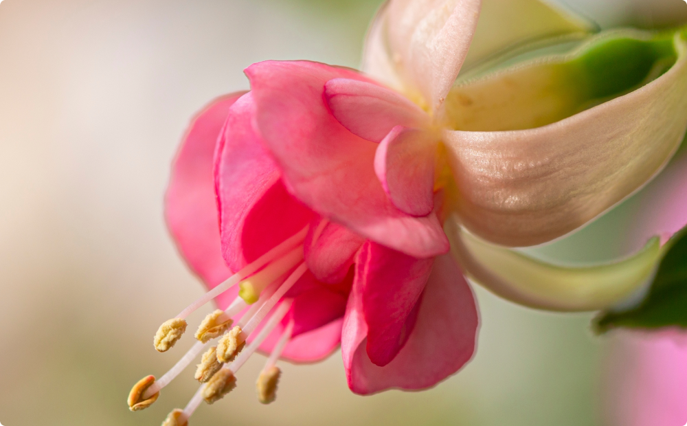 files/hAND_WASH_f3fdd579-2297-49b8-bcf9-8d93f2d22918.png